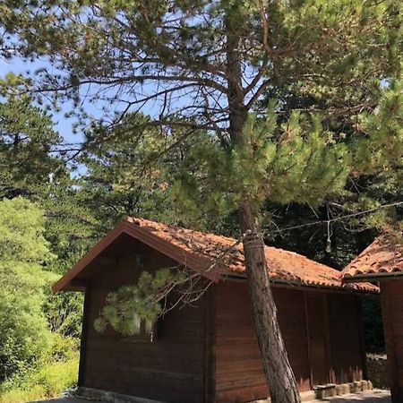 The Old Man'S Chalet Villa Dukat Exterior foto