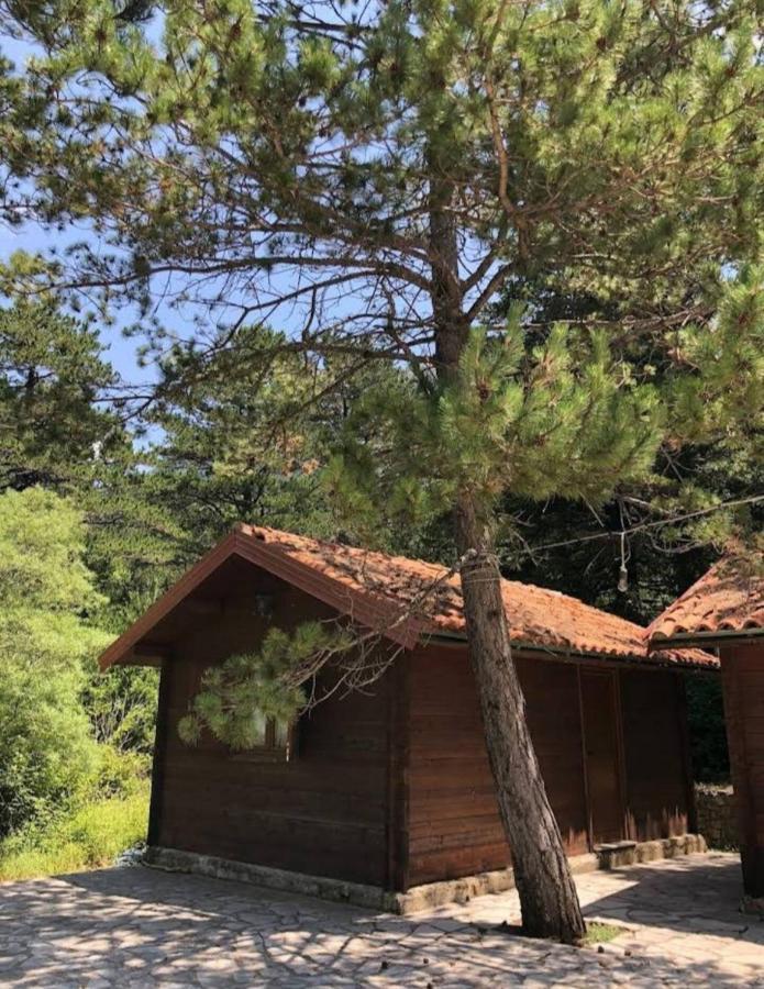 The Old Man'S Chalet Villa Dukat Exterior foto